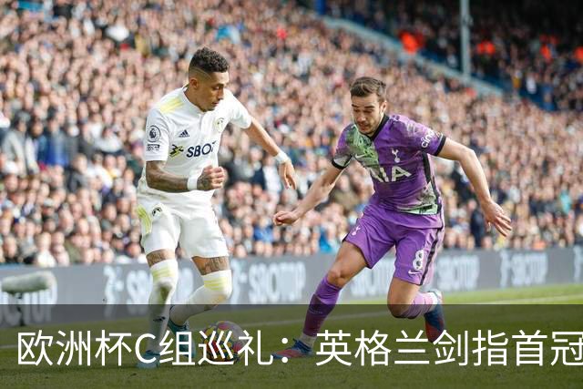欧洲杯C组巡礼：英格兰剑指首冠 丹麦难演童话
